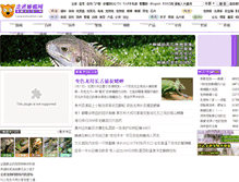 Tablet Screenshot of lizard.intopet.com