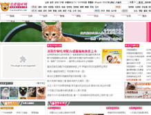 Tablet Screenshot of cat.intopet.com